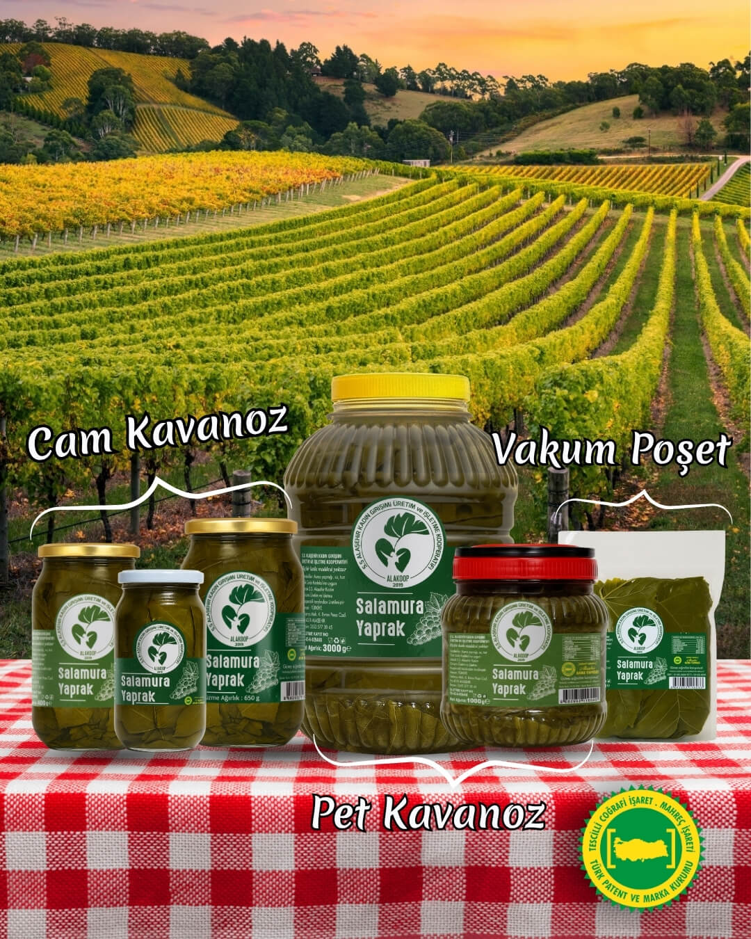 650 Gr. Cam Kavanozda Salamura Yaprak - Görsel 6